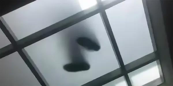 Skylights & Glass Slabs