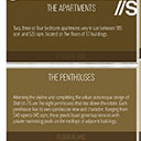 District S thumbnail 5